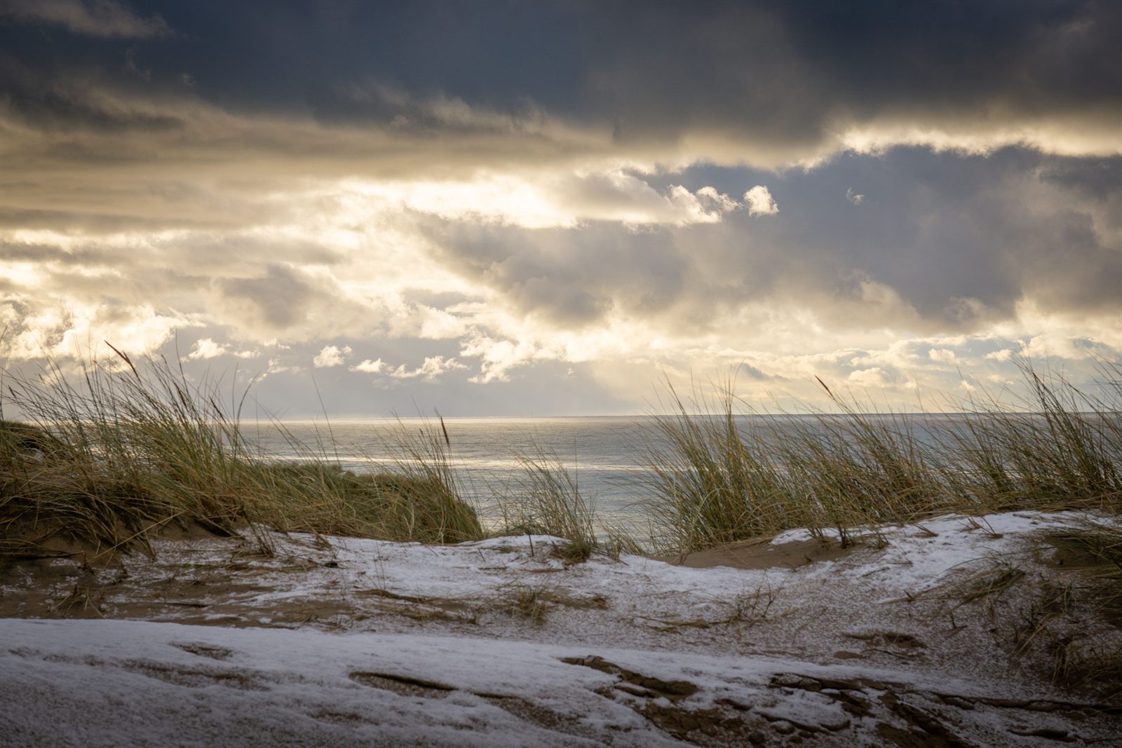 Winterliche Nordsee: verschneite Düne mit Strandhafer und Blick aufs Meer